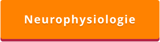 Neurophysiologie